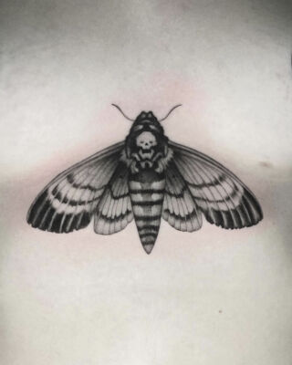 tatuajes valencia tatuaje alba weirdo No Land Tattoo Parlour blackwork  puntillismo mariposa ramas - No Land Tattoo Parlour